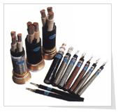 ʯ������Ȼ���ÿ��ƹܾ�